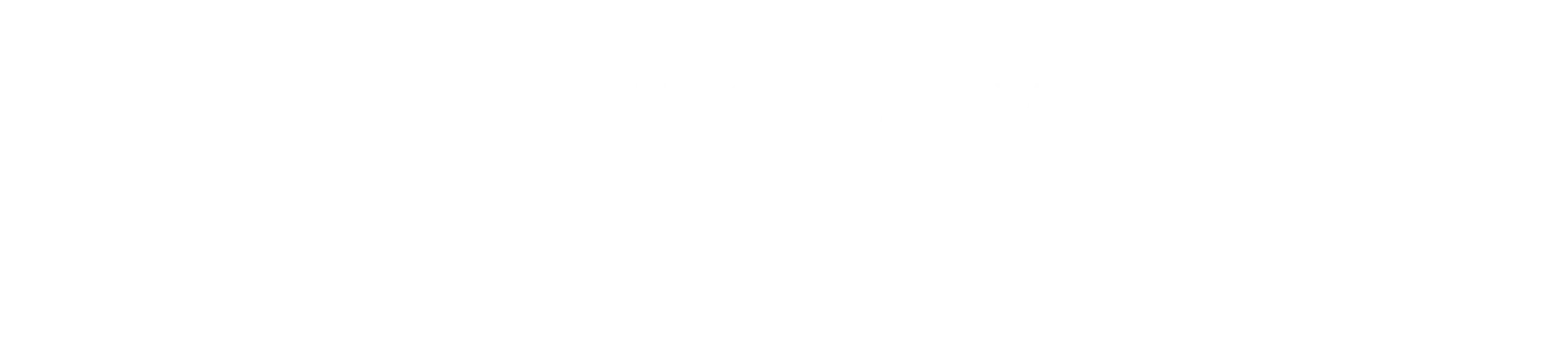 EN_FundedbytheEU_RGB_WHITE